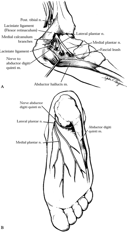 PERIPHERAL NERVE LESIONS OF THE FOOT AND ANKLE - TeachMe Orthopedics