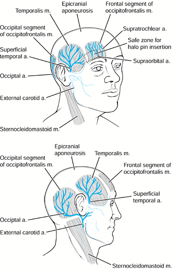 UPPER CERVICAL SPINE FRACTURES AND INSTABILITY - TeachMe Orthopedics