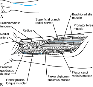 SURGICAL APPROACHES TO THE UPPER EXTREMITY - TeachMe Orthopedics