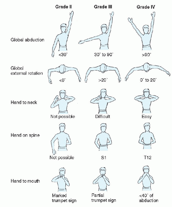 Upper Extremity - TeachMe Orthopedics