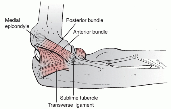 Distal Humerus Fractures - TeachMe Orthopedics