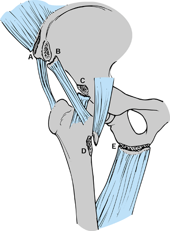 ADOLESCENT SPORTS INJURIES - TeachMe Orthopedics