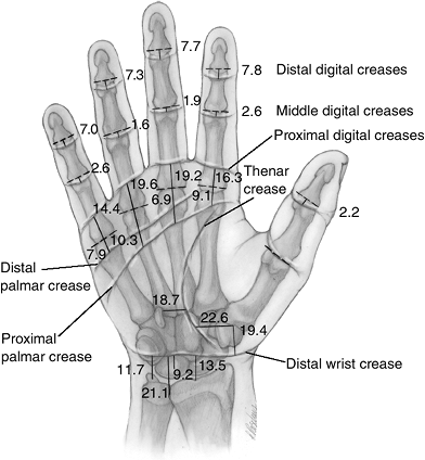 Surface Anatomy - TeachMe Orthopedics