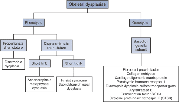 Genetic Basis of Musculoskeletal Disorders - TeachMe Orthopedics